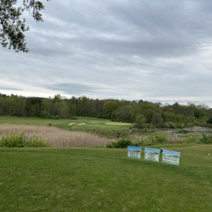 Landscape at Gold Outing