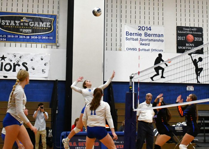 athlete prepares to spike on volleyball court