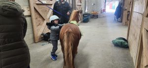 Student with riding helmet petting a pony